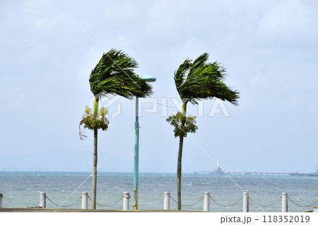 台風接近 118352019
