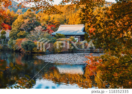 京都 龍安寺 鏡容池の秋景色 京都 龍安寺 鏡容池の秋景色 118352335