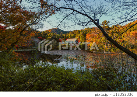 京都 龍安寺 鏡容池の秋景色 京都 龍安寺 鏡容池の秋景色 118352336