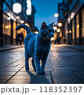 夜の街角で出会った青い毛の猫 118352397