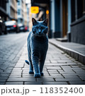 街角で出会った青い毛の猫 118352400