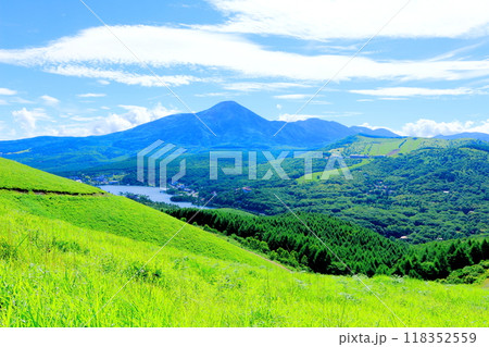 7月の霧ヶ峰高原からの白樺湖　　　　信州の自然　　　信州の風景 118352559