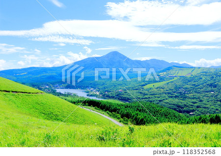 7月の霧ヶ峰高原からの白樺湖　　　　信州の自然　　　信州の風景 118352568