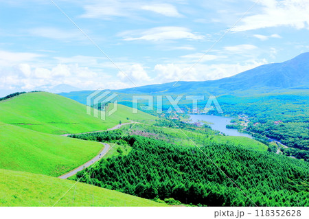 7月の霧ヶ峰高原からの白樺湖　　　　信州の自然　　　信州の風景 118352628