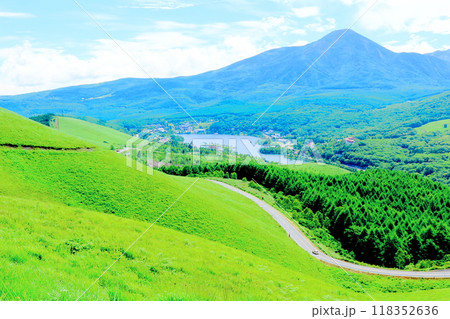 7月の霧ヶ峰高原からの白樺湖　　　　信州の自然　　　信州の風景 118352636