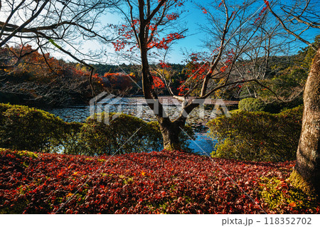 京都 龍安寺 鏡容池の秋景色 118352702
