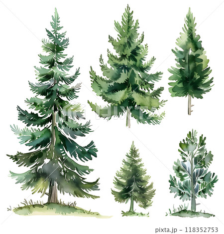 Pine trees set. Watercolor hand drawn illustration isolated on white background Pine trees set. Watercolor hand drawn illustration isolated on white background 118352753