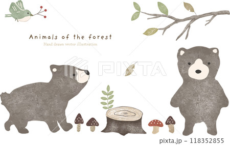 森のくまさんのポストカード 森のくまさんのポストカード 118352855
