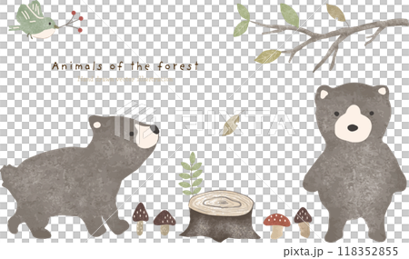 森のくまさんのポストカード 森のくまさんのポストカード 118352855