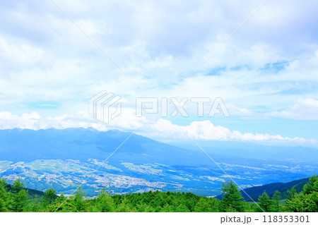 7月の入笠山の花々 信州の風景 信州の高山植物 7月の入笠山の花々 信州の風景 信州の高山植物 118353301