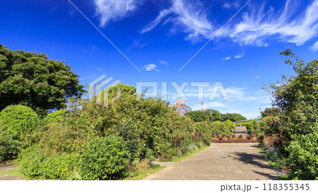 港の見える丘公園 港の見える丘公園 118355345