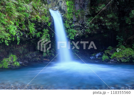 陣馬の滝 陣馬の滝 118355560