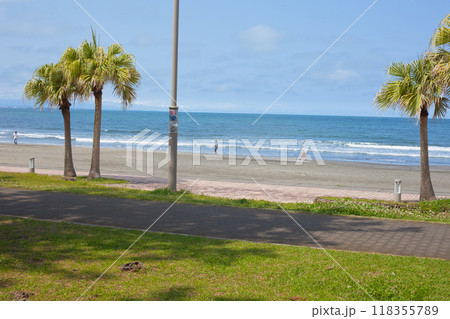 海の見える公園 118355789