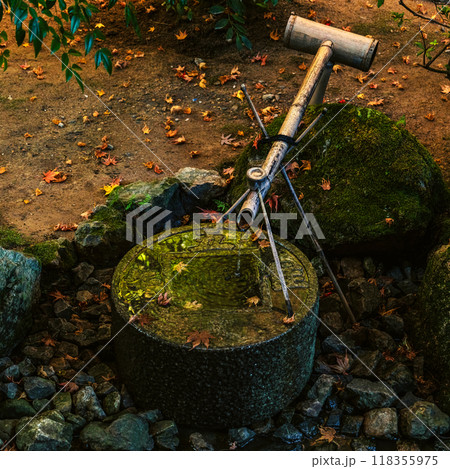 京都 龍安寺秋景色 方丈の知足の蹲踞 京都 龍安寺秋景色 方丈の知足の蹲踞 118355975