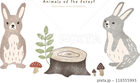 森の植物とウサギのイラスト素材 118355993