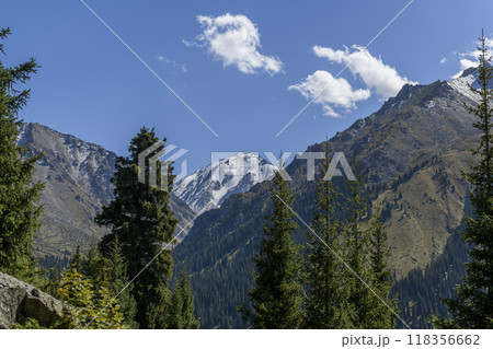 Beautiful mountain landscape, forest and mountains in summer time. Valley in Kazakhstan. Beautiful mountain landscape, forest and mountains in summer time. Valley in Kazakhstan. 118356662
