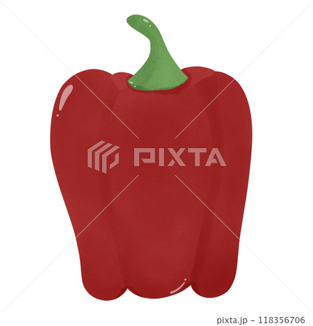 red bell pepper, hand drawn, transparency illustration.	 118356706