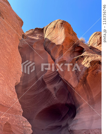 幻想的なアンテロープ　キャニオン 118356746