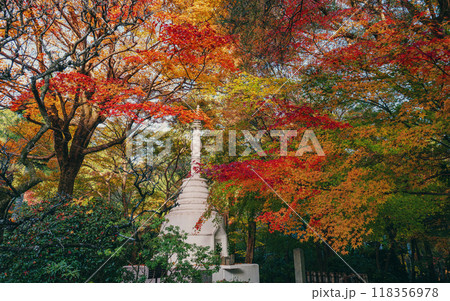 京都龍安寺パゴダの秋景色 京都龍安寺パゴダの秋景色 118356978
