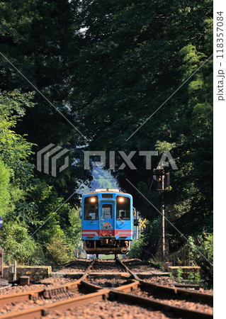 緑のトンネルを走る樽見鉄道ハイモ330 緑のトンネルを走る樽見鉄道ハイモ330 118357084