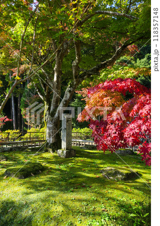 奈良・初瀬 長谷寺 三重塔跡 118357148
