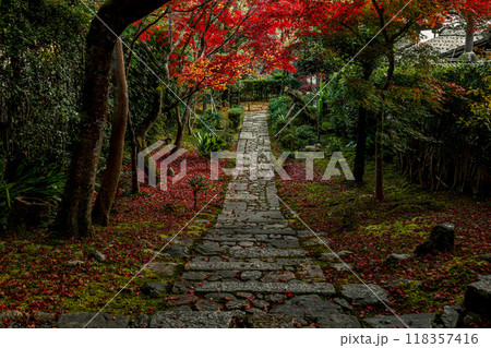 京都 龍安寺の秋景色 118357416