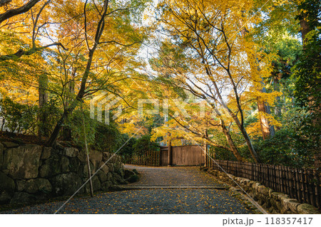 京都 龍安寺の秋景色 118357417