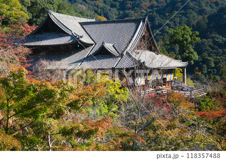 奈良・初瀬 長谷寺 本堂と紅葉 奈良・初瀬 長谷寺 本堂と紅葉 118357488