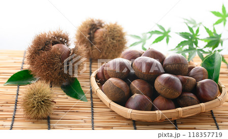 秋の味覚 栗 118357719