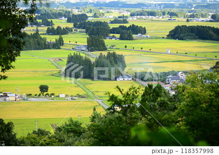 花巻八景 円万寺観音山から見る秋の水田地帯 花巻八景 円万寺観音山から見る秋の水田地帯 118357998