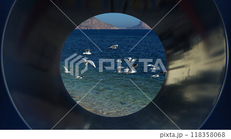 A serene view of a coastal scene through a pipe, showcasing seabirds flying over the tranquil blue waters 118358068