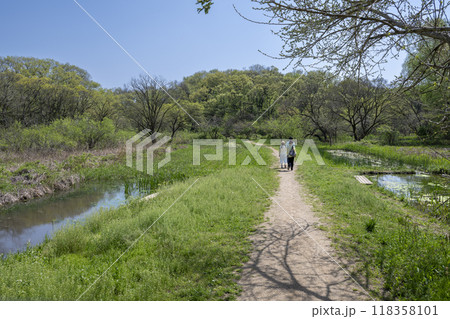 新緑に包まれる北本自然観察公園の遊歩道を歩く親子 新緑に包まれる北本自然観察公園の遊歩道を歩く親子 118358101