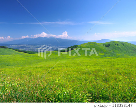 霧ヶ峰の草原とカボッチョ山 118358147