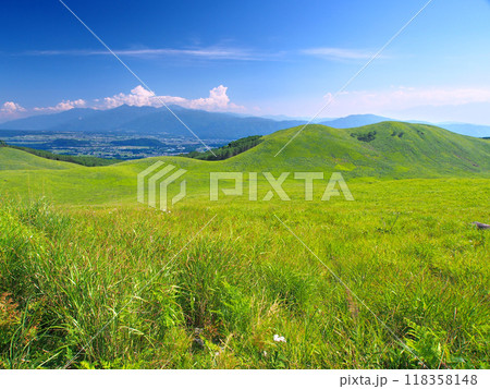 霧ヶ峰の草原とカボッチョ山 118358148