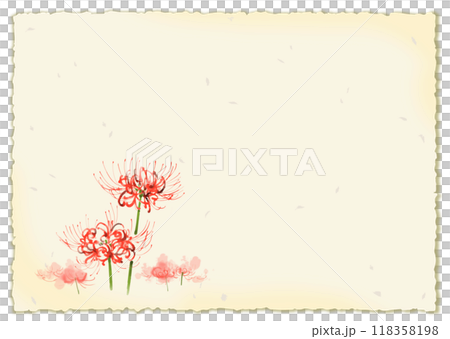 Watercolor illustration of spider lilies and red spider lilies, framed with Japanese paper 118358198