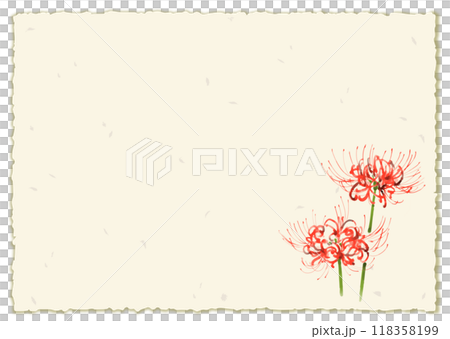 Watercolor illustration of spider lilies and red spider lilies, framed with Japanese paper 118358199