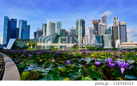 シンガポールの高層ビル街 118358323