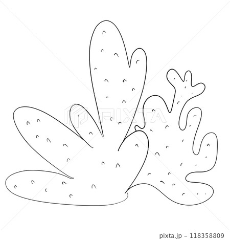 coral out line, hand drawn, transparency illustration.	 118358809