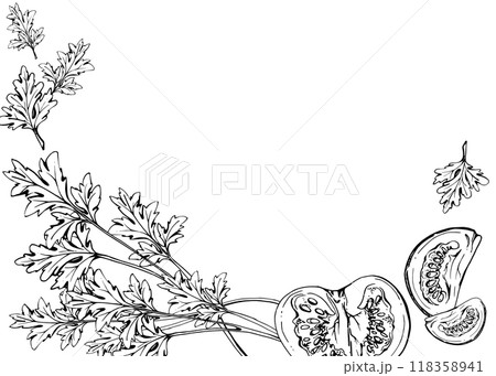Tomato vegetable, coriander parsley herb, nuts diet and healthy lifestyle, salad vegan cooking. Hand drawn vector ink. Illustration composition isolated on white background. Design print, card, menu 118358941