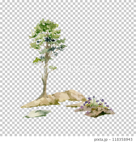 Scenery landscape of forest meadow grassland with bushes flowers, pine spruce tree alpine vista rocks hand drawn in watercolor. Illustration for tourism, resort ads, hiking camping sites vacation. Scenery landscape of forest meadow grassland with bushes flowers, pine spruce tree alpine vista rocks hand drawn in watercolor. Illustration for tourism, resort ads, hiking camping sites vacation. 118358943