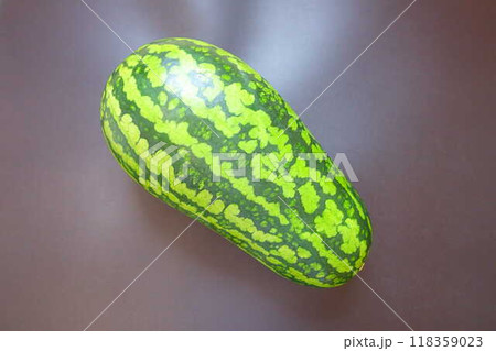 スイカ　すいか　西瓜　うり坊 118359023