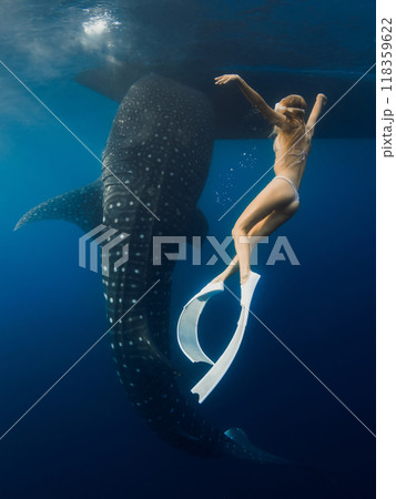 Whale shark and sexy woman swims in blue ocean. Shark underwater and beautiful lady Whale shark and sexy woman swims in blue ocean. Shark underwater and beautiful lady 118359622
