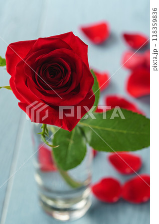 closeup red rose on blue wood table in glass 118359836