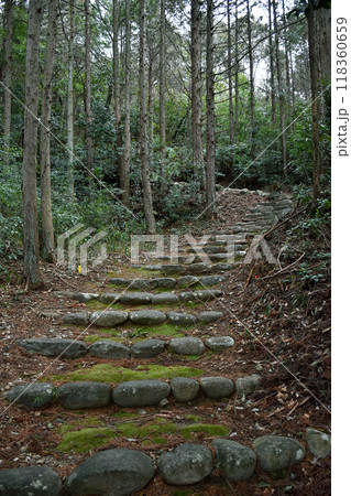見事な星神社の石段、ひっそりと佇む。 見事な星神社の石段、ひっそりと佇む。 118360659