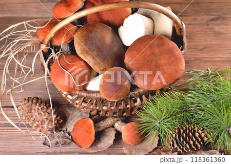 Edible mushrooms, porcini and boletus in a wicker basket on a natural wooden background Edible mushrooms, porcini and boletus in a wicker basket on a natural wooden background 118361360