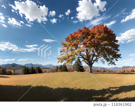 紅葉した木 118361902