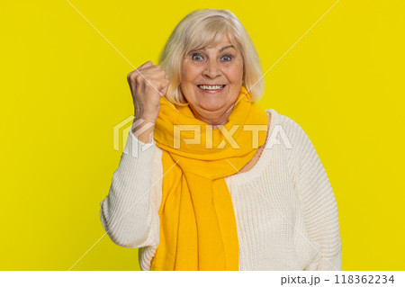 Happy senior woman celebrating success winning birthday lottery jackpot goal achievement good news Happy senior woman celebrating success winning birthday lottery jackpot goal achievement good news 118362234
