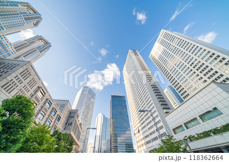 「東京都」新宿新都心のビル群を見上げる 「東京都」新宿新都心のビル群を見上げる 118362664