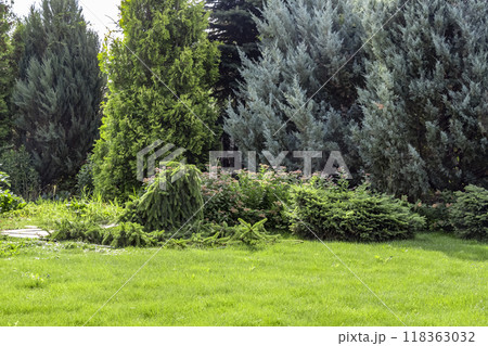 Landscaping of the backyard Landscaping of the backyard 118363032