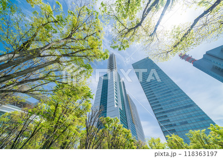 「埼玉県」さいたま新都心　春のけやき広場から見上げるビル群 118363197